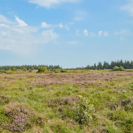 Skikkild Bjerge Xii Toftlund